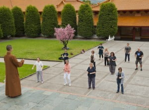 tai chi tai chi